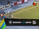 Botafogo 1 x 0 Santos